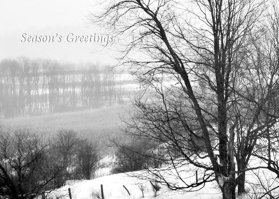 Seasons Greetings #1 Photograph by Gerlinde Keating