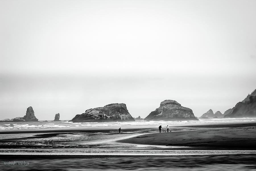 Seastacks, Oregon Coast #1 Photograph by Aashish Vaidya