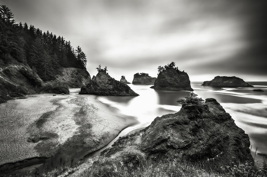 Oregon State Photograph - Secret beach #1 by Eduard Moldoveanu