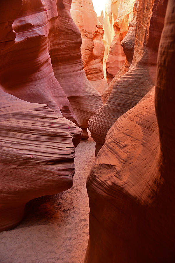 Secret Canyon - Navajo Nation #1 Photograph by Dana Sohr
