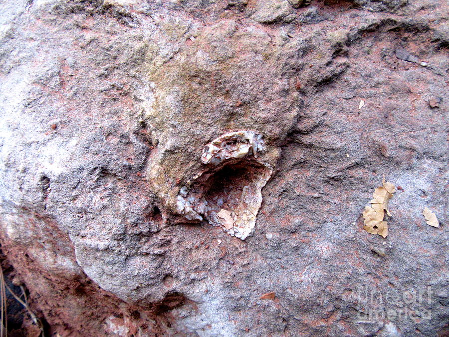 Sedona Heart Rock #1 Photograph by Mars Besso