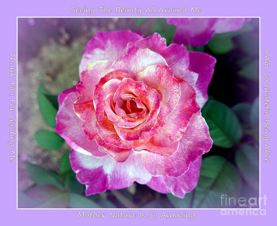 Sedona Heart Rose #1 Photograph by Mars Besso