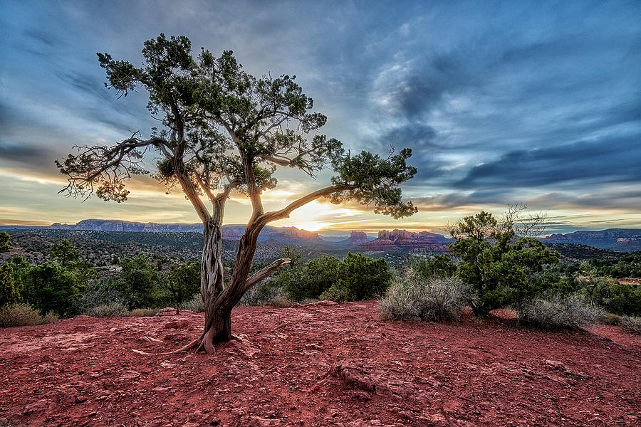 Sedona in the Morning #2 Photograph by Jon Glaser