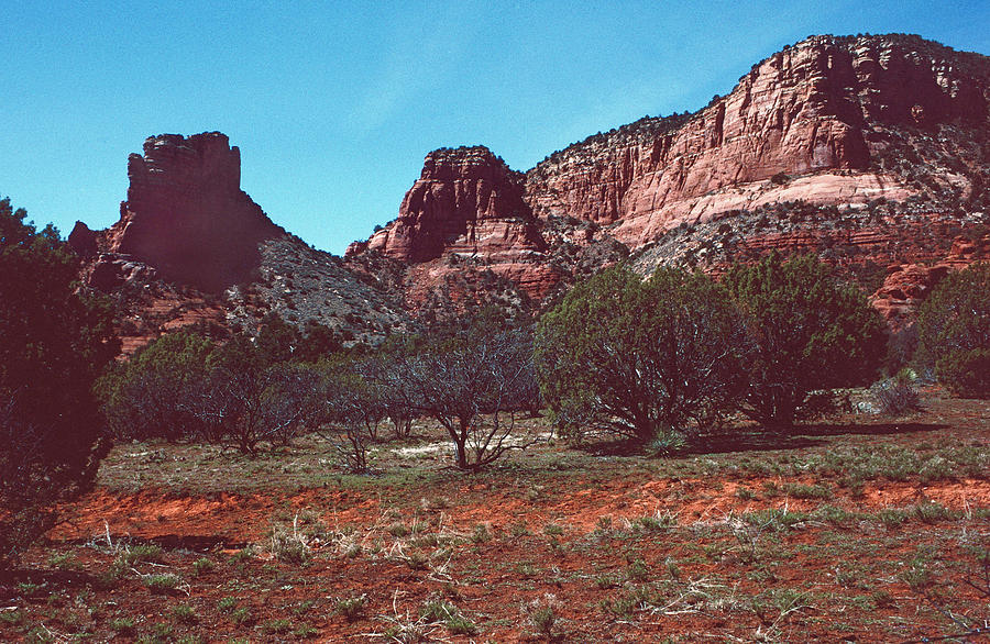 Sedona Red Rock #1 Photograph by Ira Marcus