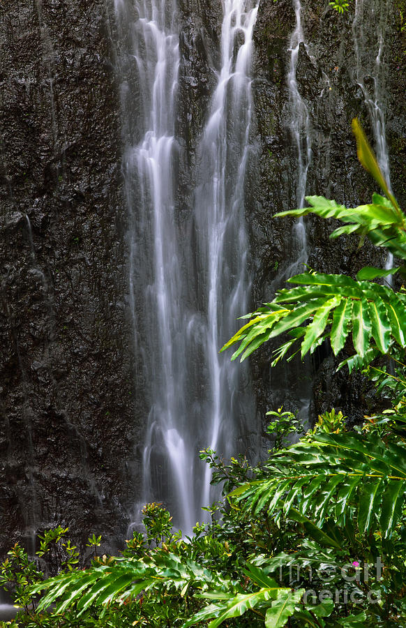 Sensuous Waterfall Photograph