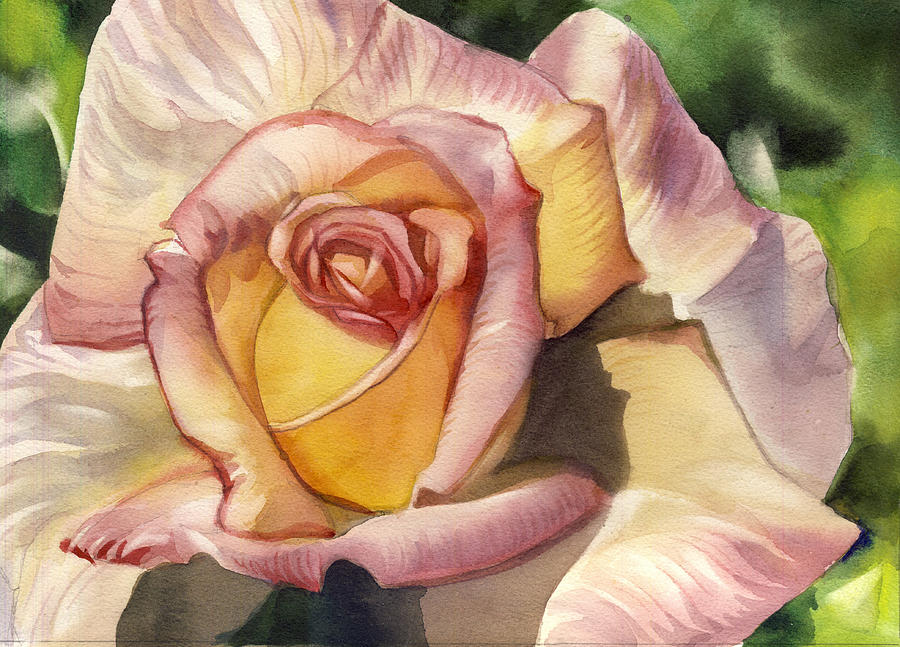 September rose #1 Painting by Alfred Ng