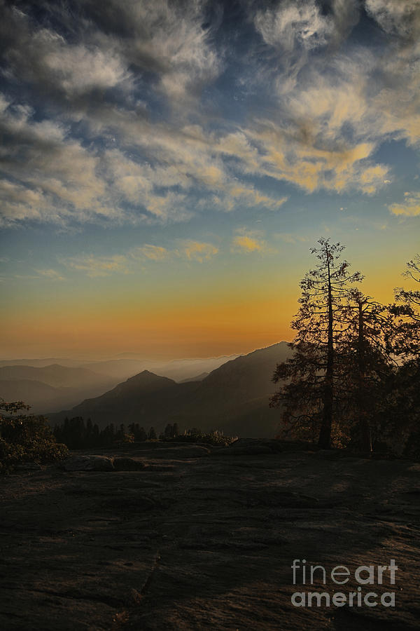 Sequoia Sunset #1 Photograph by Timothy Johnson