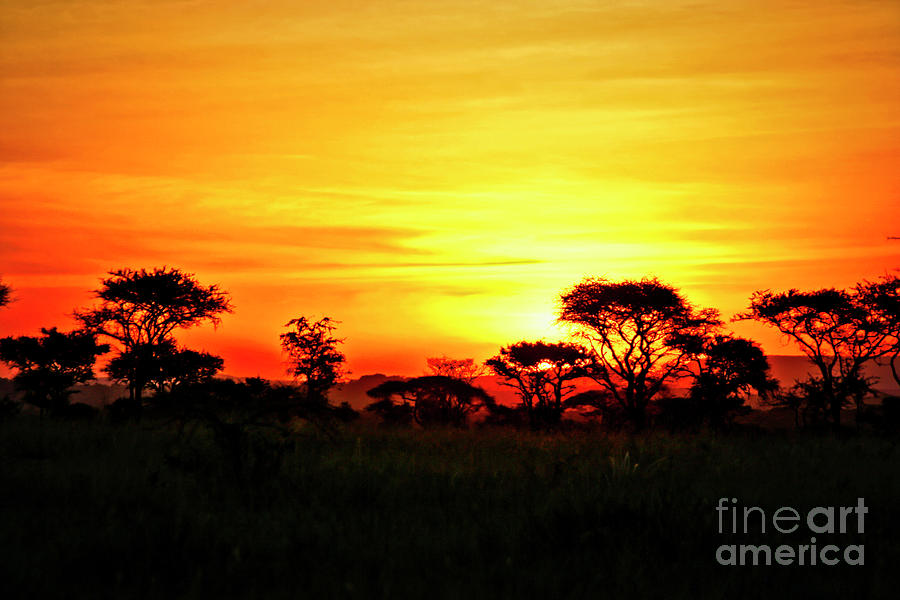 Serengeti Sunset #1 Photograph by Bruce Block