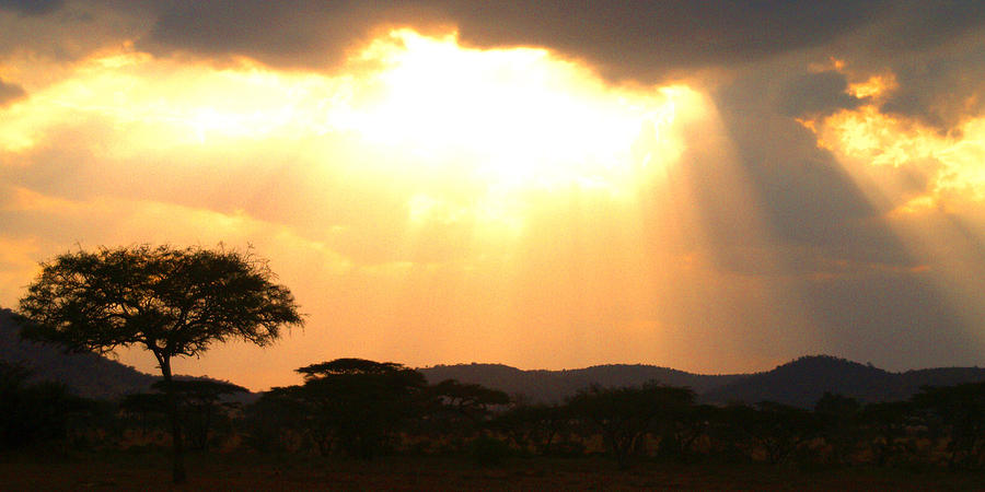 Sunset Photograph - Serengeti Sunset #1 by Pamela Kelly Phillips