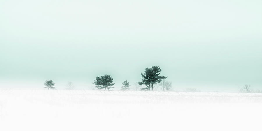 Serenity by Donna Lee Serenity by Donna Lee