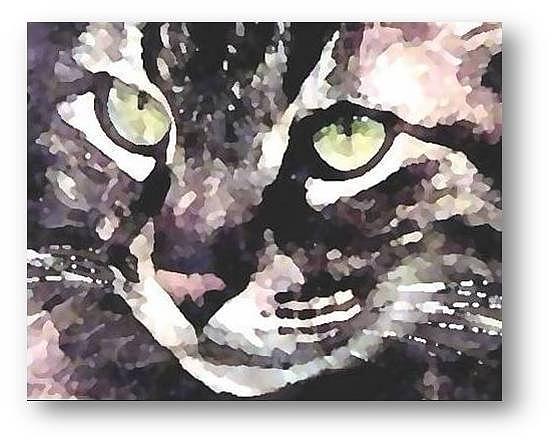 Seriously Mixed Media by Brenda Garacci Seriously Mixed Media by Brenda Garacci
