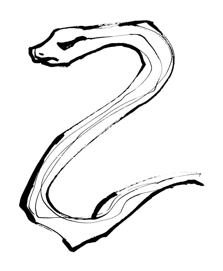 Serpent Drawing by Daniel Schubarth