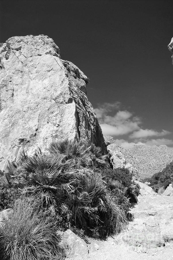 Serra de Tramuntana mountains in Majorca #1 Photograph by David Fowler