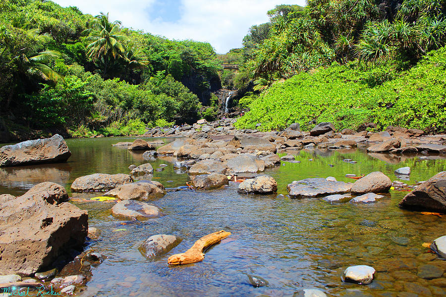 Seven Sacred Pools of Maui #1 Photograph by Michael Rucker