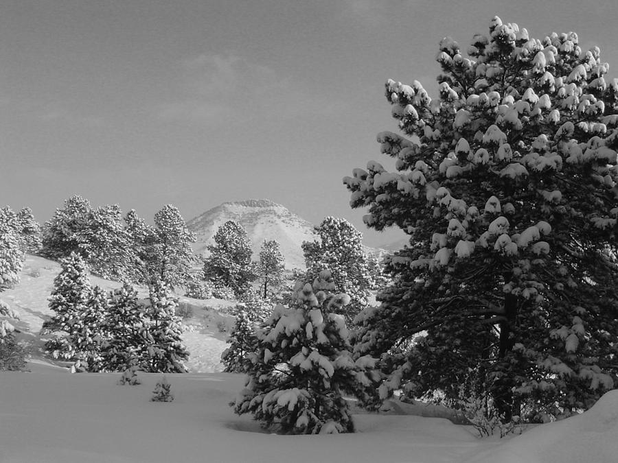 McIntire Mountain in the Snow Photograph by Gerri Duke