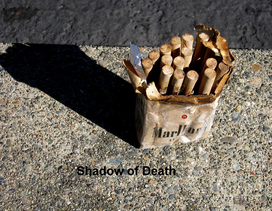 Shadow of Death #2 Photograph by Marie Neder