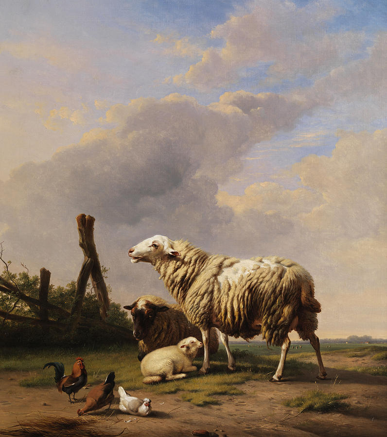 Animal Painting - Sheep #2 by Eugene Verboeckhoven 