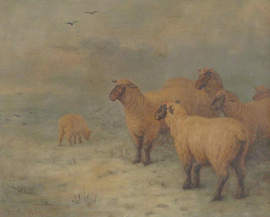 Sheep on Moorland #1 Painting by MotionAge Designs