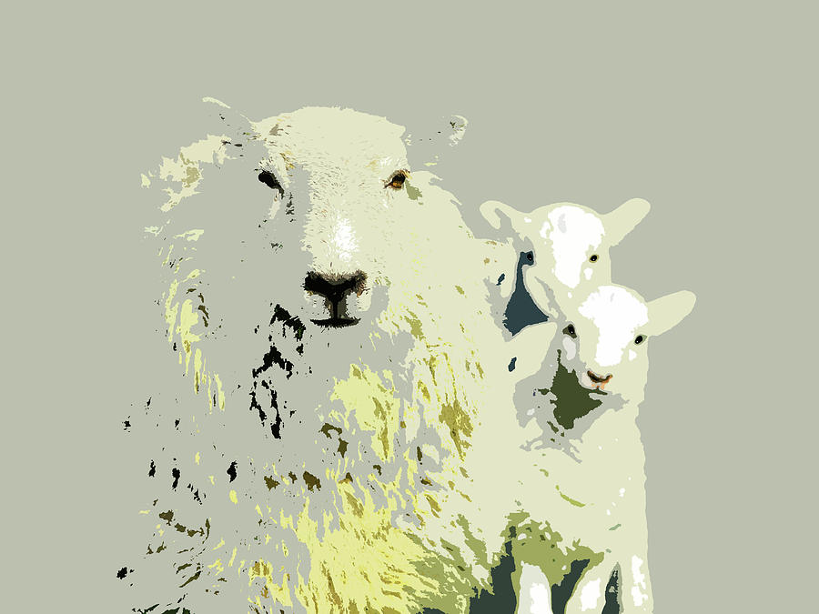 Sheep With Lambs by Mary Castellan Sheep With Lambs by Mary Castellan
