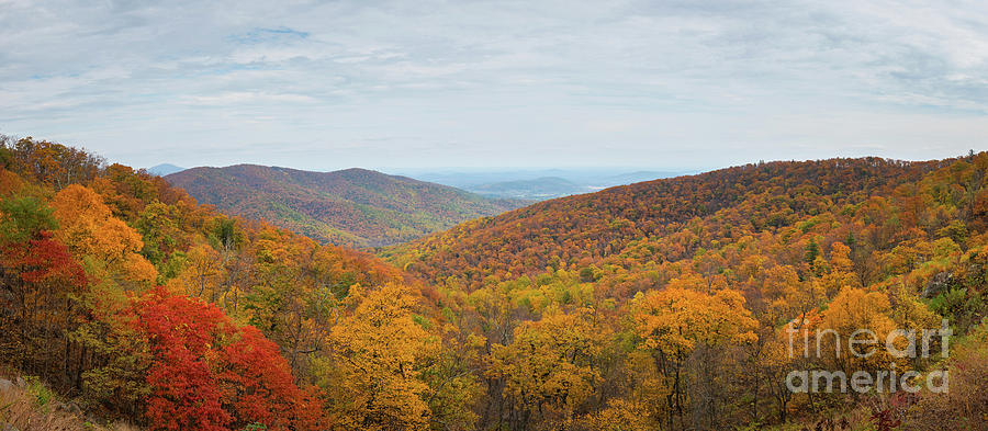 Shenandoah National Park Photograph - Shenandoah Fall Foliage  #1 by Michael Ver Sprill