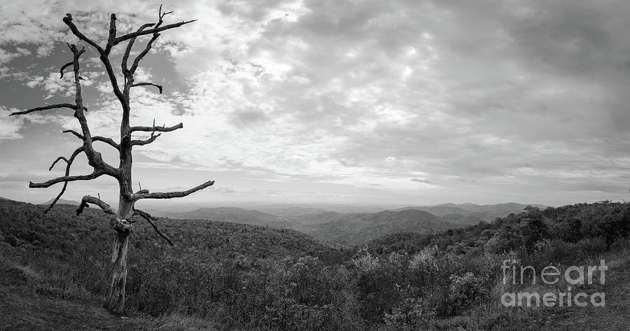Shenandoah  #1 Photograph by Michael Ver Sprill