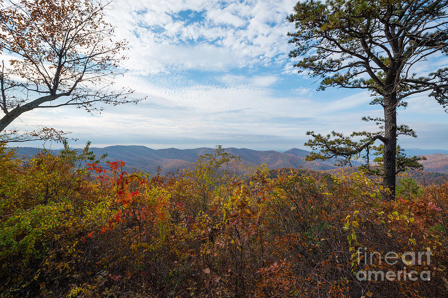 Shenandoah National Park in Autumn #1 Photograph by Michael Ver Sprill