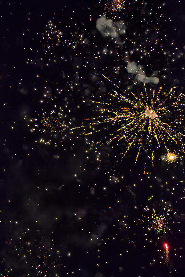 Shining Colorful Firework Over A Dark Night Sky #1 Photograph by Gina Koch
