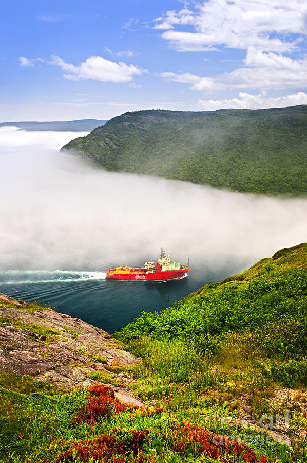Ship entering the Narrows of St Johns 2 Photograph by Elena Elisseeva