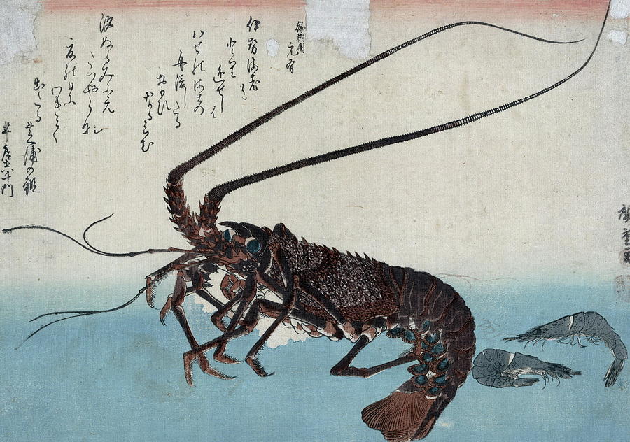 Shrimp And Lobster Painting by Ando Hiroshige - Fine Art America