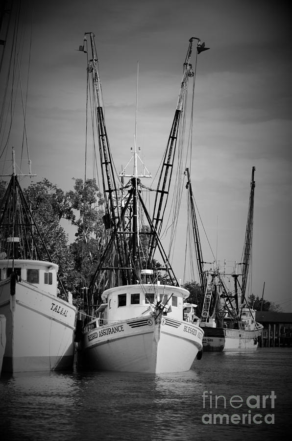 Shrimpers In Black And White Photograph