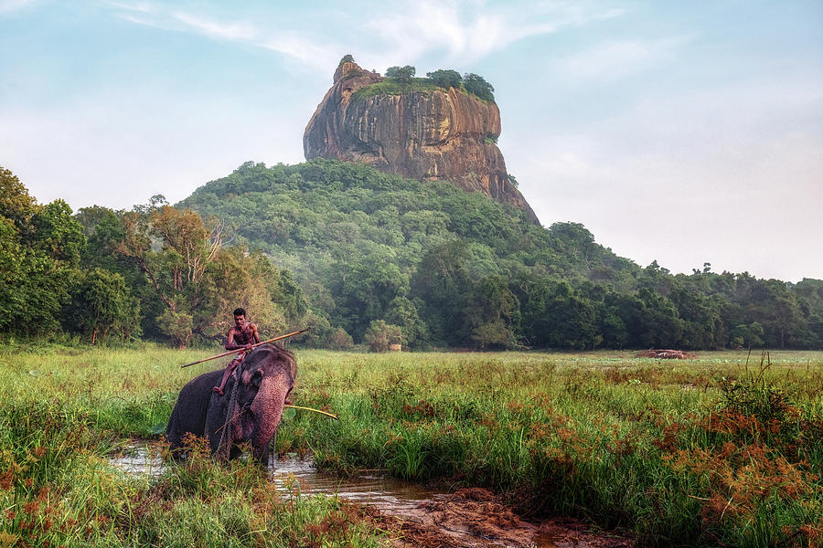 Sigiriya - Sri Lanka #1 Photograph by Joana Kruse