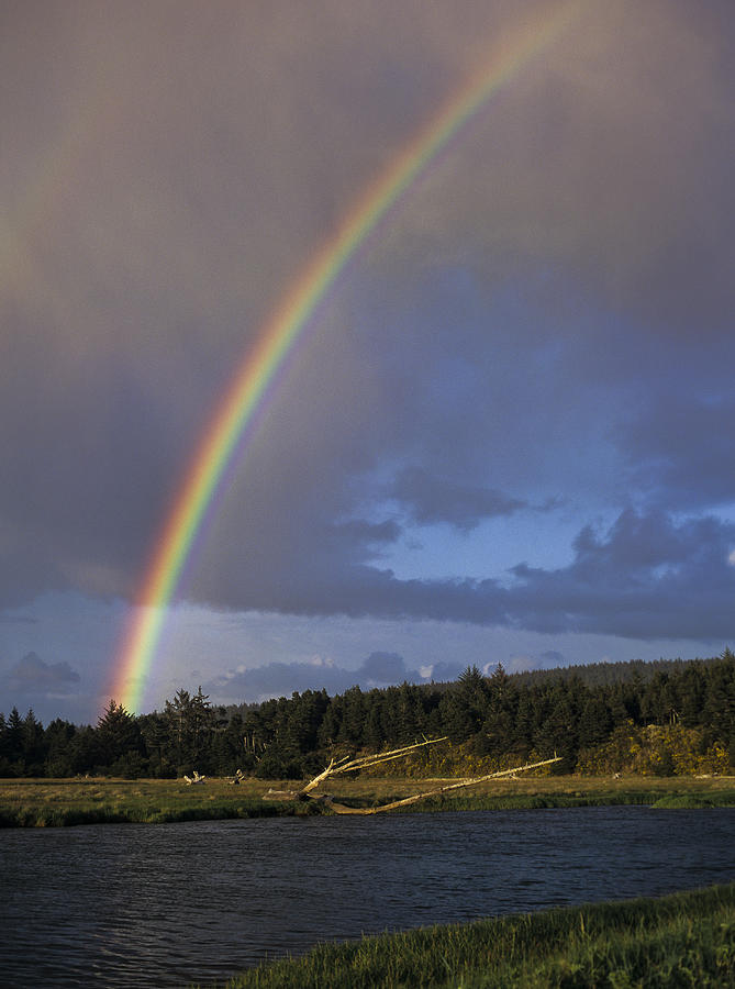 Siltcoos River Rainbow Photograph by Robert Potts