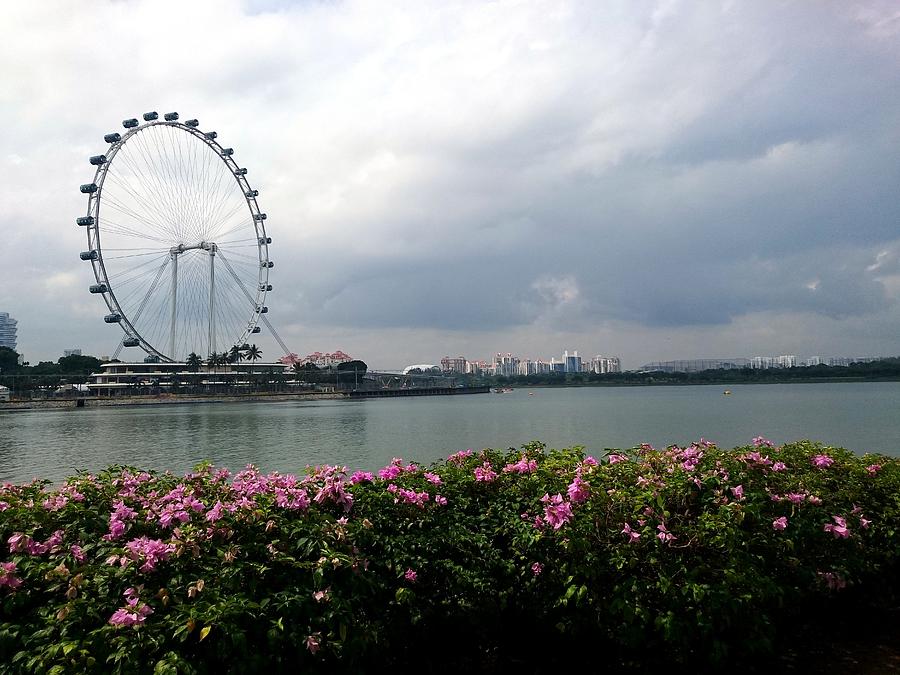 Architecture Photograph - Singapore flyer #4 by Jijo George