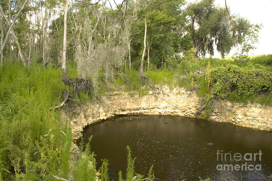 Sinkhole, Florida #1 Photograph by Inga Spence