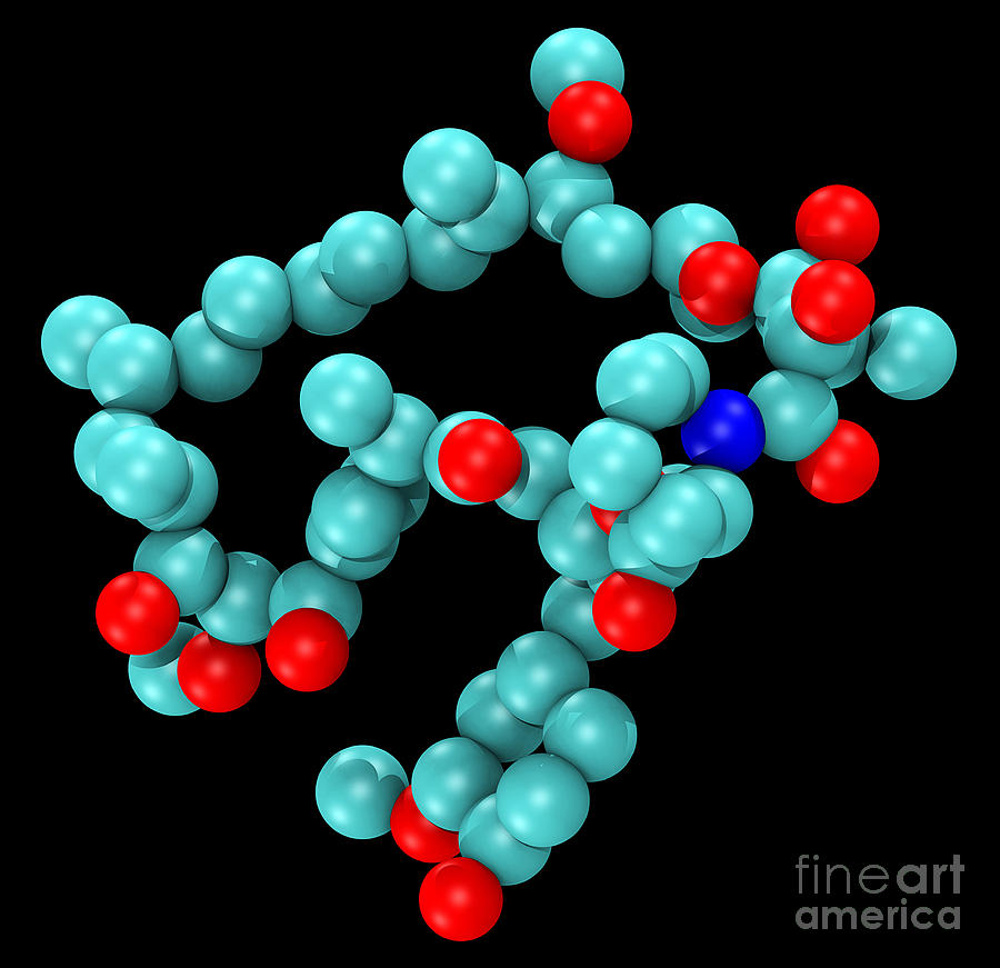 Sirolimus Rapamycin, Molecular Model #1 Photograph by Scott Camazine