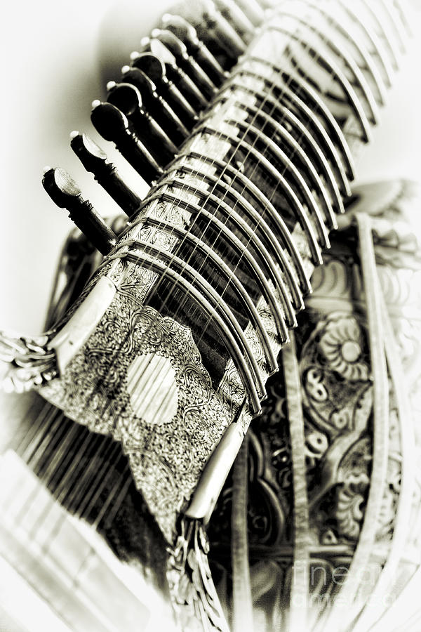 Music Photograph - Sitar and Tabla #1 by Tim Gainey