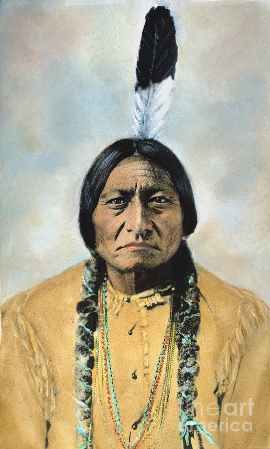 Sitting Bull (1834-1890) #1 Photograph by Granger