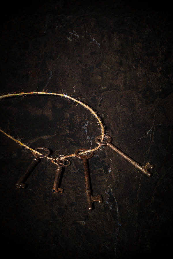 Skeleton Keys #1 Photograph by Erin Cadigan