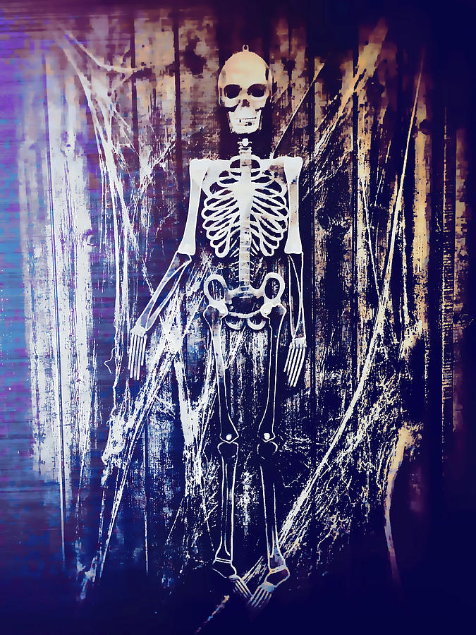 Skeleton #1 Photograph by Tom Gowanlock