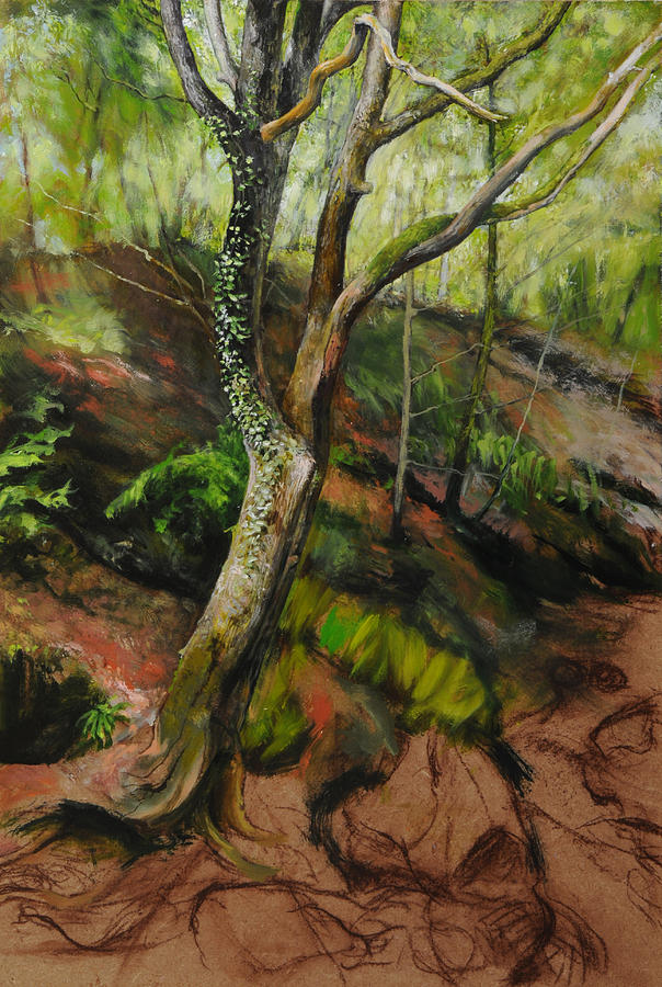 Sketch of a Treetrunk #1 Painting by Harry Robertson