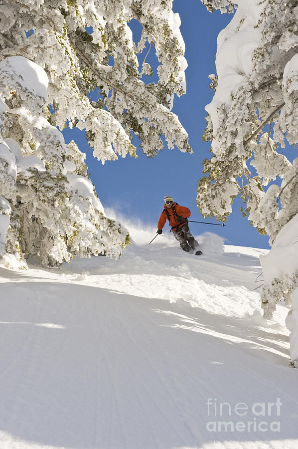Skier In Wasatch Mountains, Utah #1 Photograph by Howie Garber