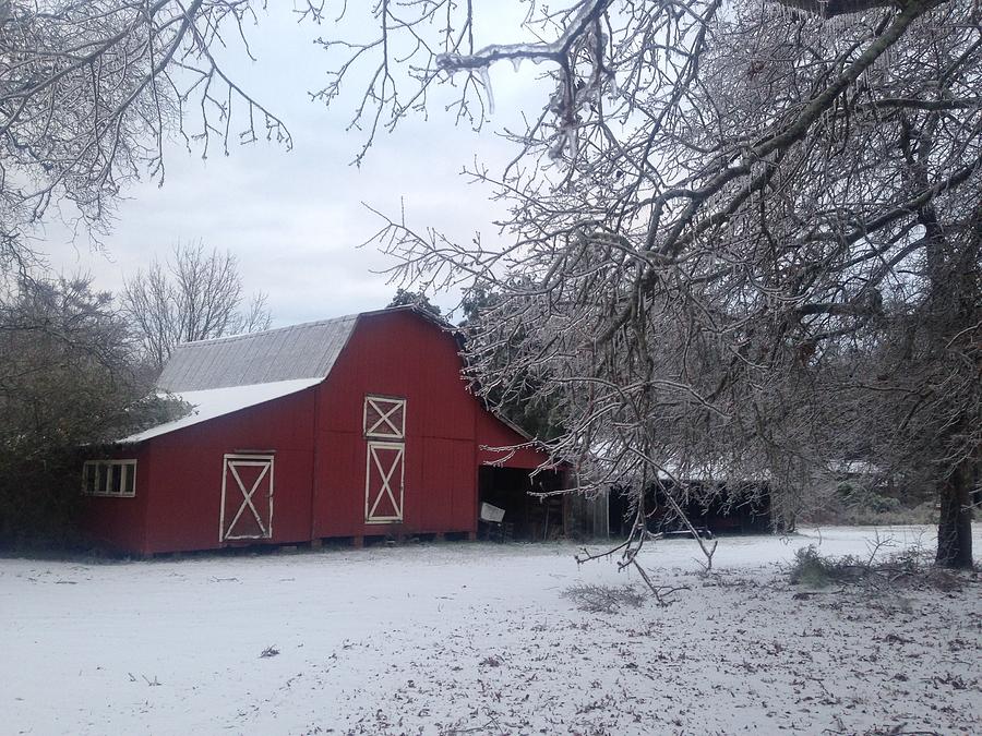 Skip Kelly's Barn by Francis Chester Skip Kelly's Barn by Francis Chester