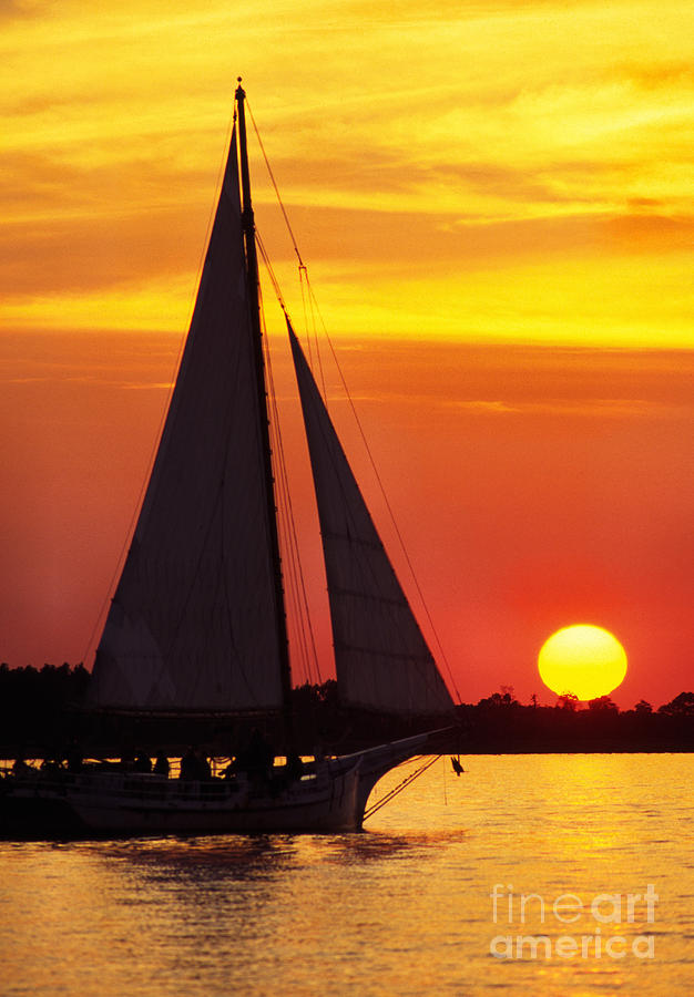 Skipjack at Sunset #1 Photograph by Thomas R Fletcher