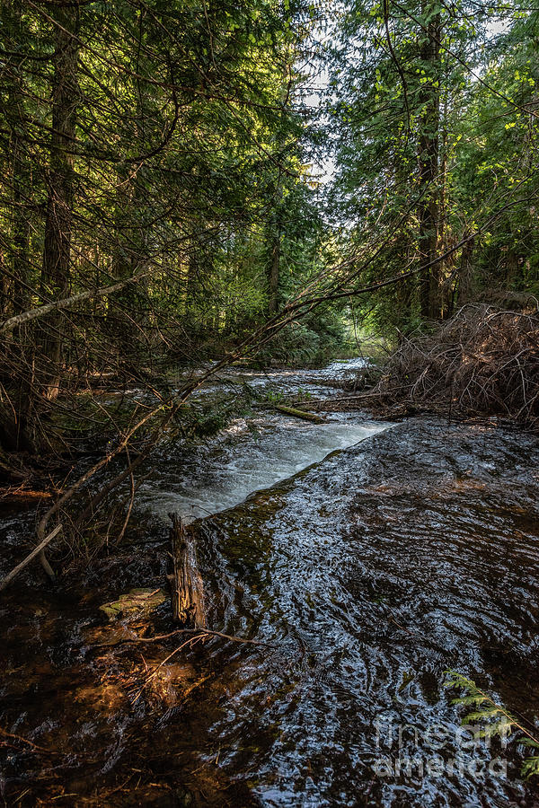 Skookum Creek #2 Photograph by Sam Judy - Fine Art America