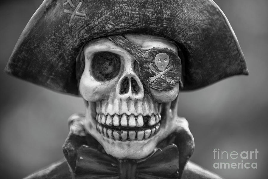 Skull and Bones #1 Photograph by Dale Powell