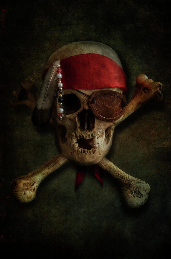 Skull and bones #1 Photograph by Jaroslaw Blaminsky