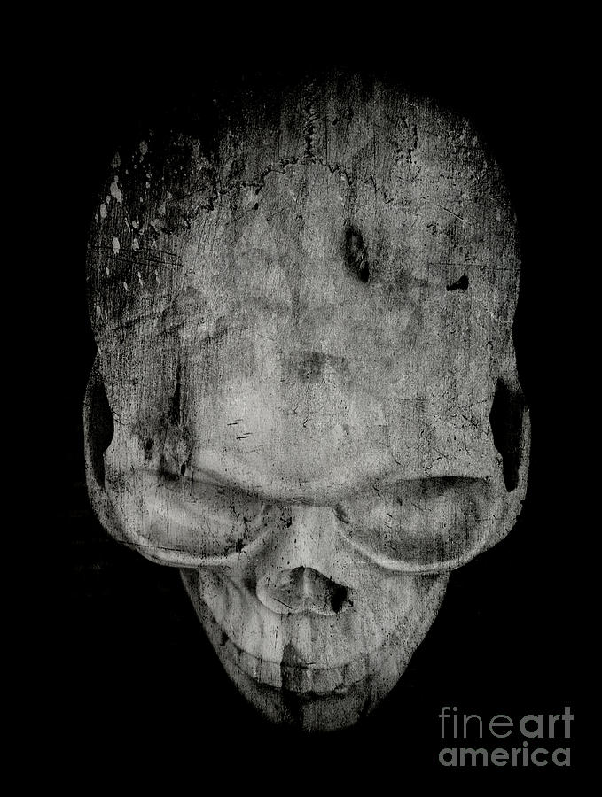Skull #3 Photograph by Edward Fielding