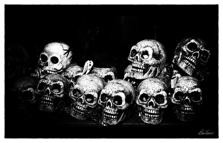 Skulls #2 Photograph by Diana Haronis