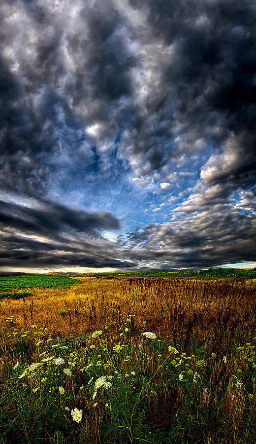 Landscape Photograph - Sky High #1 by Phil Koch