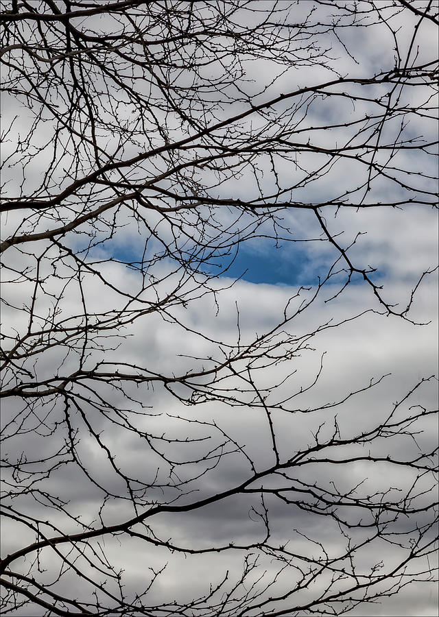 Sky Trees and Clouds #1 Photograph by Robert Ullmann